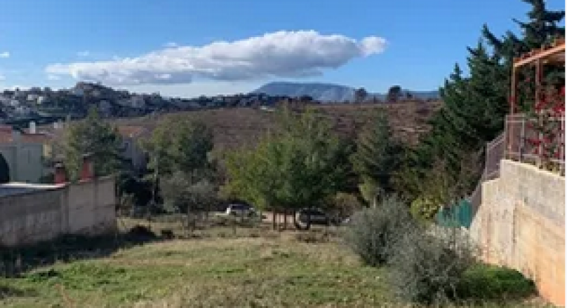 ΔΙΩΝΗ ΟΙΚΟΠΕΔΟ 500ΤΜ